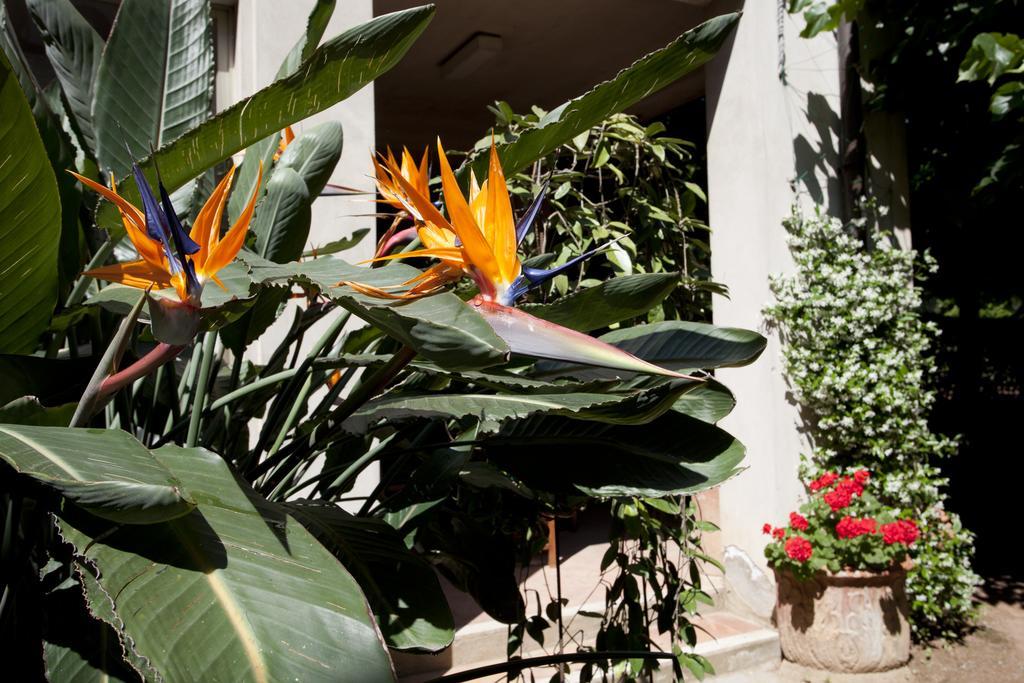 Albergo Stella Casciana Terme Εξωτερικό φωτογραφία